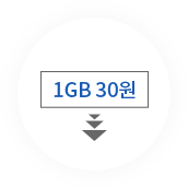 1 GB당 30원