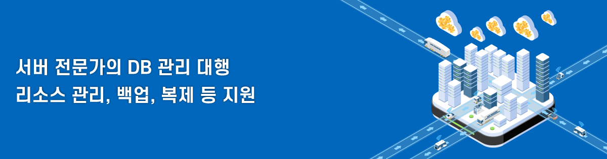 서버 전문가의 DB 관리 대행 자원 관리, 백업, 복제 등 지원